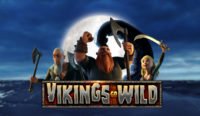 Vikings Go Willd spelautoamt