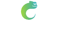 Betzest casino